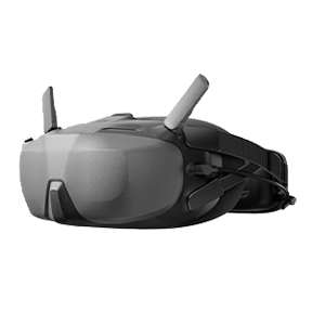 DJI Goggles